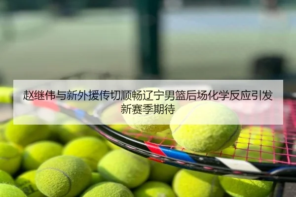 赵继伟与新外援传切顺畅辽宁男篮后场化学反应引发新赛季期待